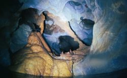 稲積鍾乳洞　洞窟探検&水中ライン整備