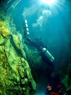 スケジュール更新　2024.12