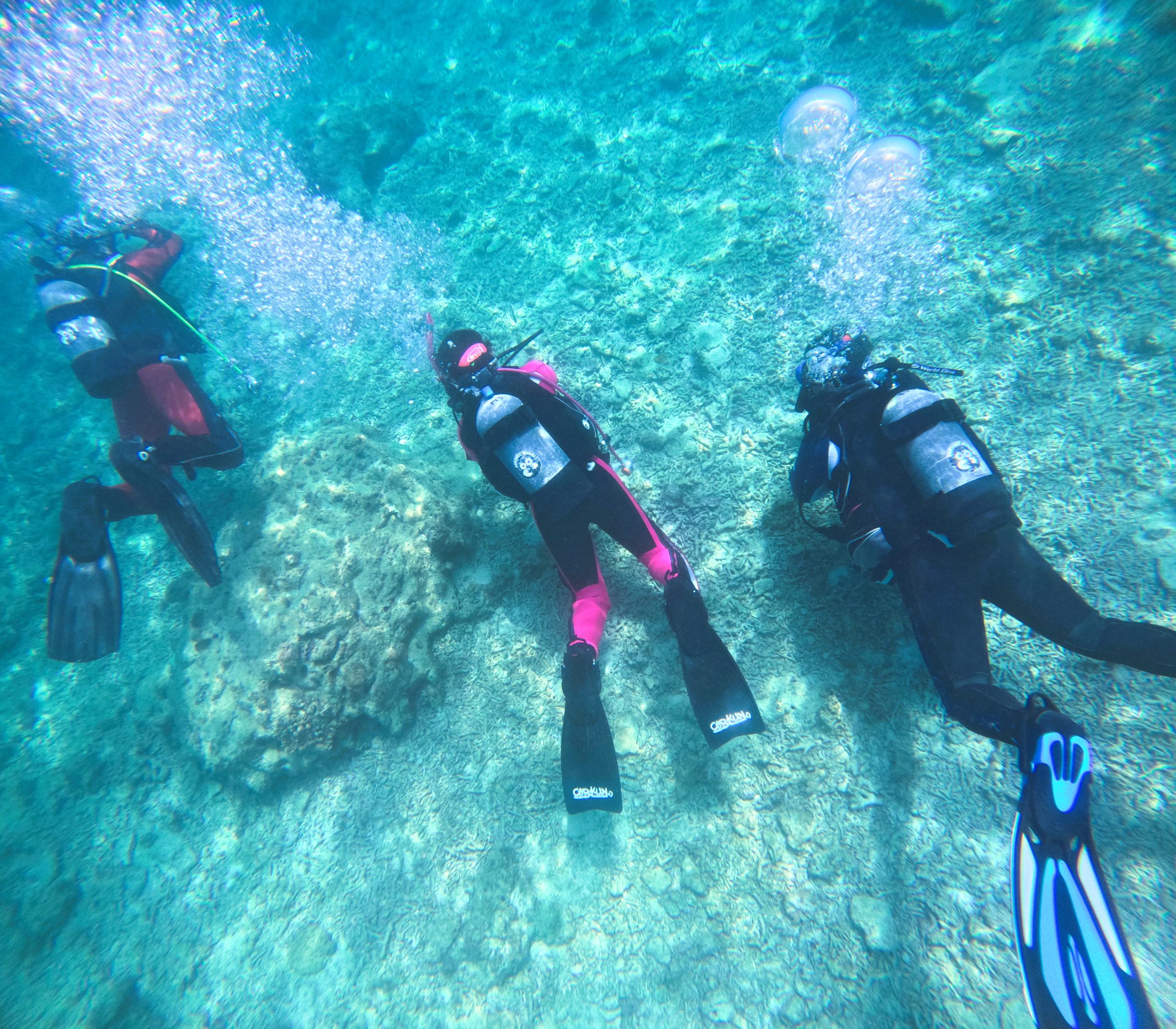 防衛的安全管理 ― 初心者講習での「5秒に一回のチェック」は現実的ではない？