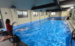 ダイビングインストラクターに求められる“基礎となる能力”とは