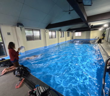 ダイビングインストラクターに求められる“基礎となる能力”とは